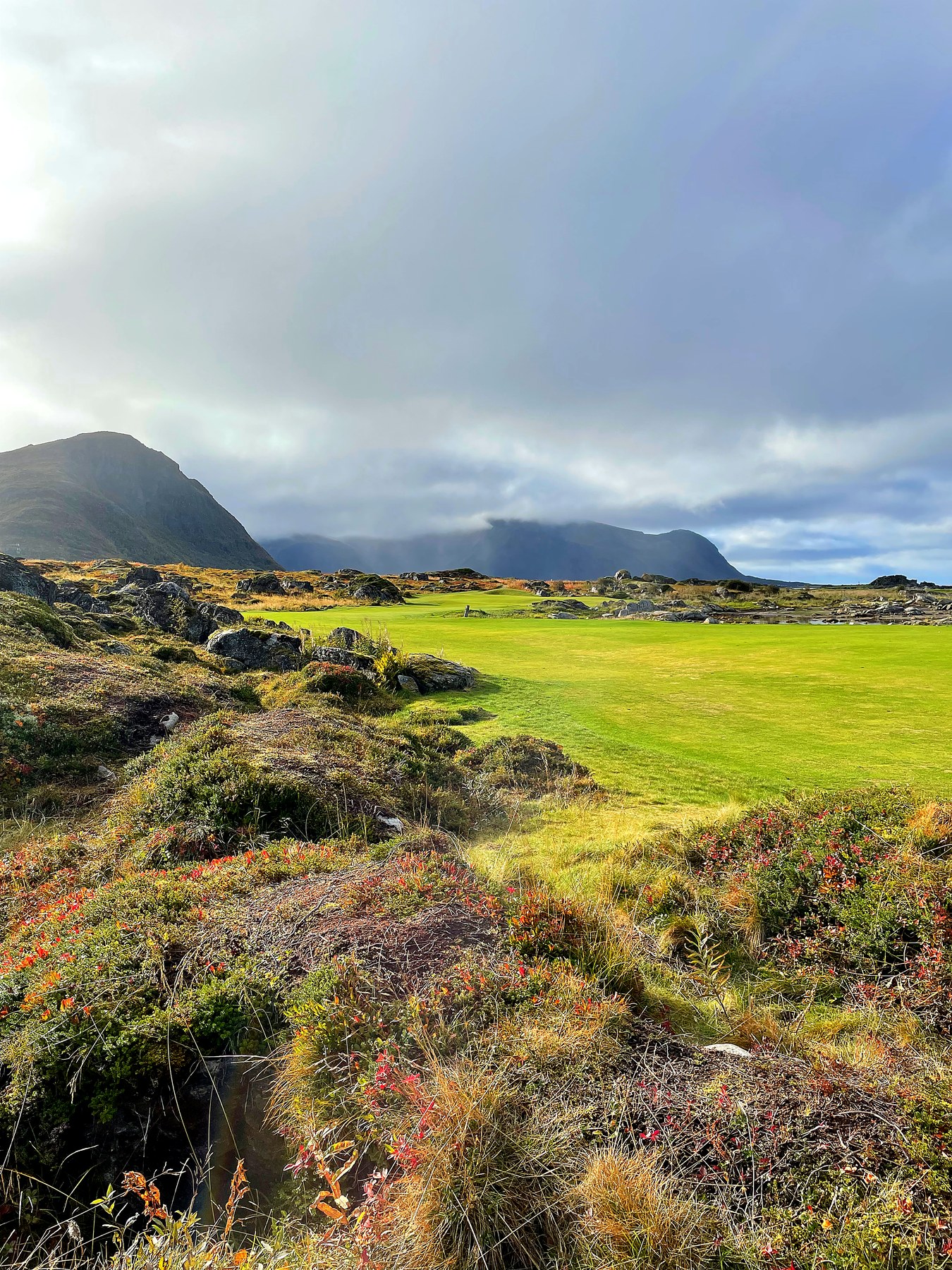 Fairwayen på hull 14, mellom lyng og fjæresteiner