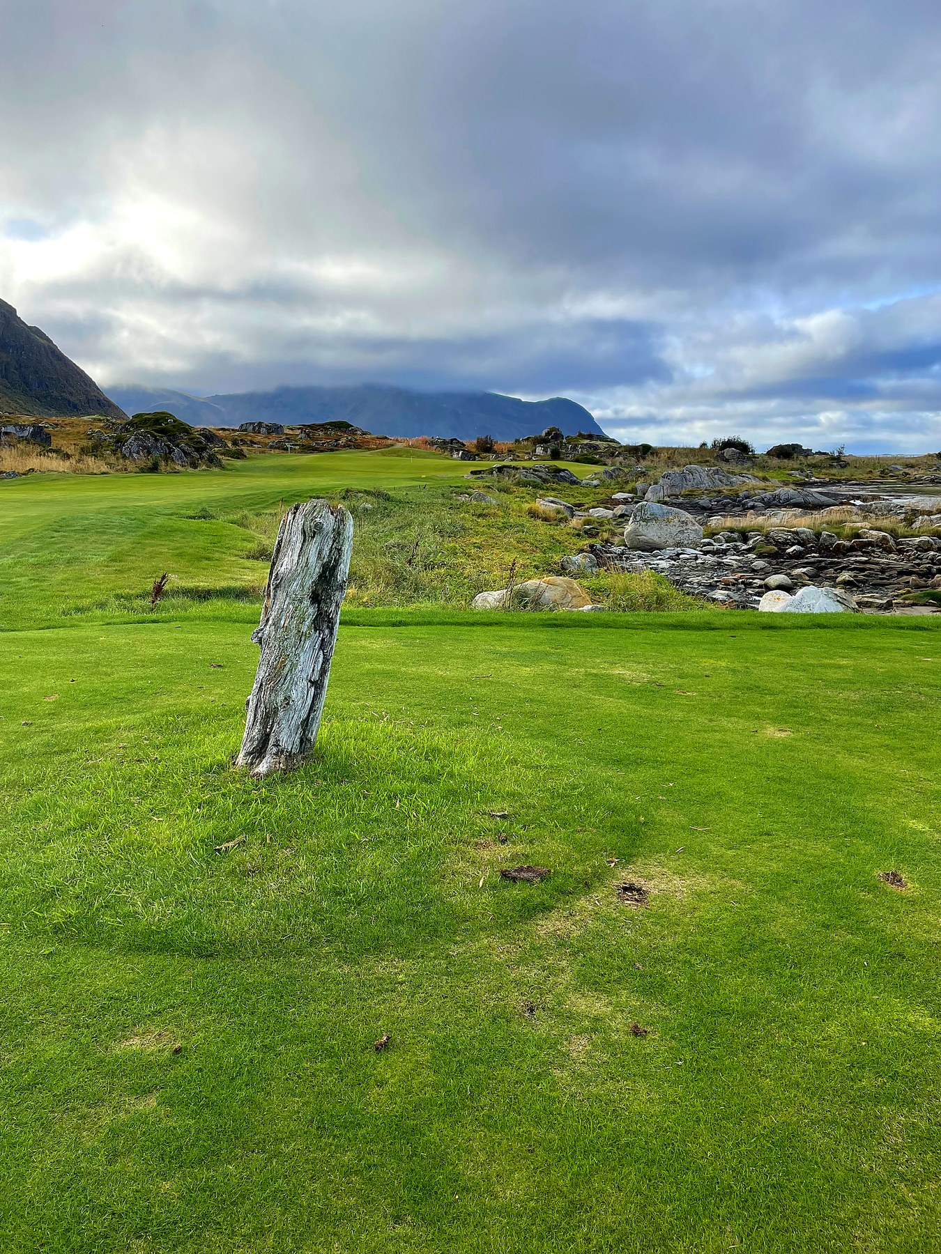 Gammel trestubbe brukt som hinder på Lofoten Links