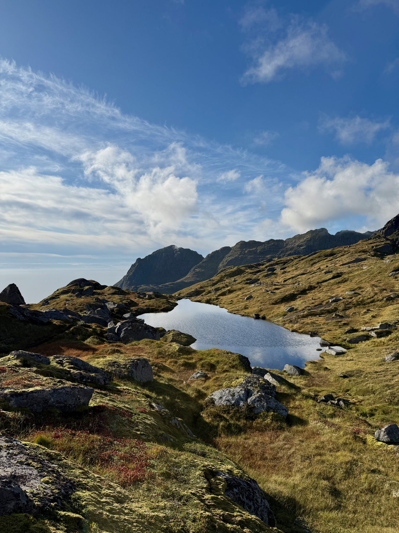 Understøvla