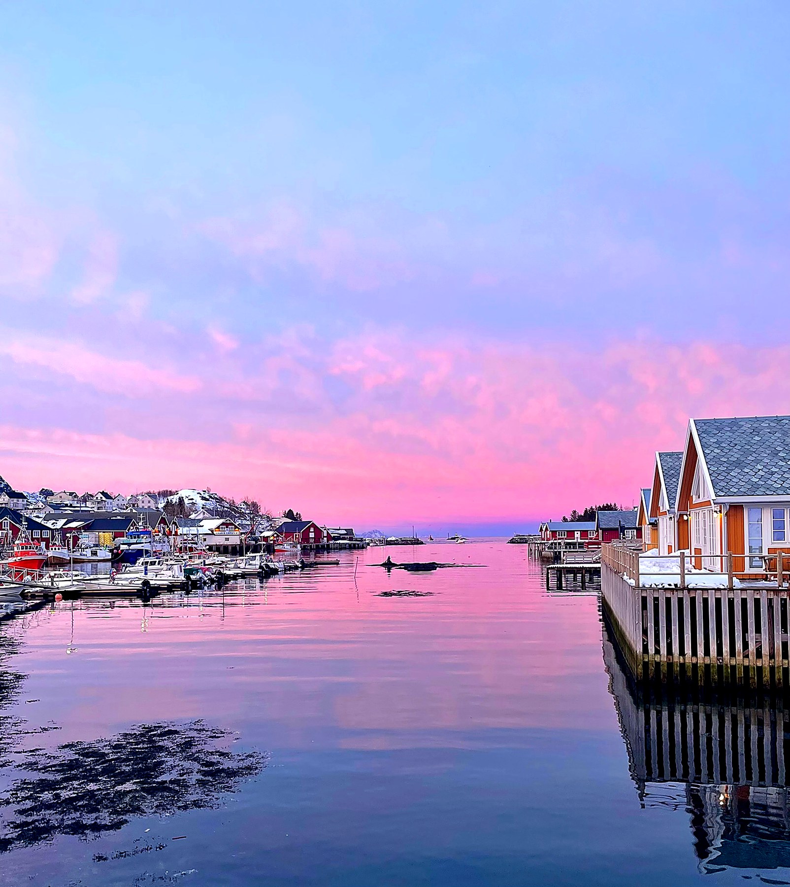 Sørvågen fiskevær i rosa kveldslys