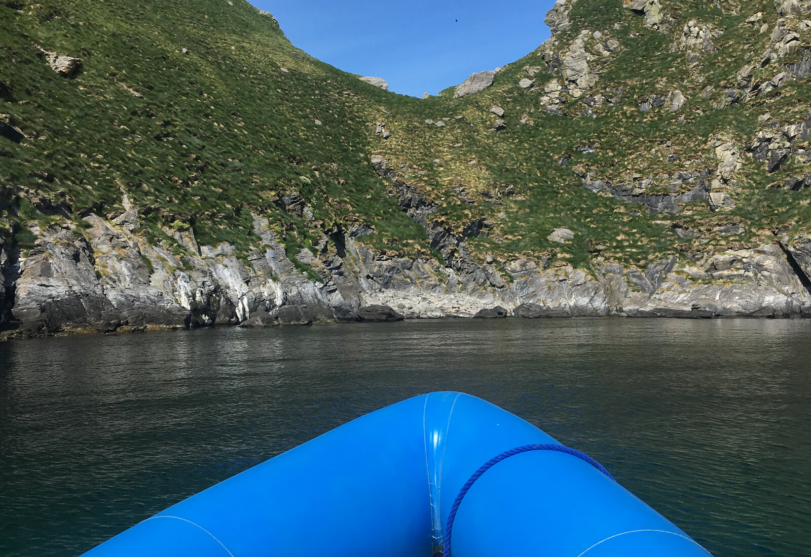 RIB-safari gjennom en trang sjøkanal i Moskenestraumen
